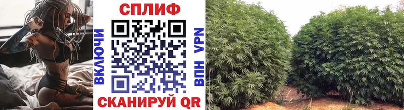 Как найти наркотики Иваново Амфетамин  NBOMe  A PVP  ГАШ 