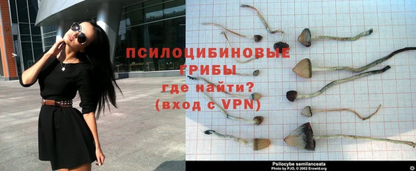 мяу мяу мука Вязьма
