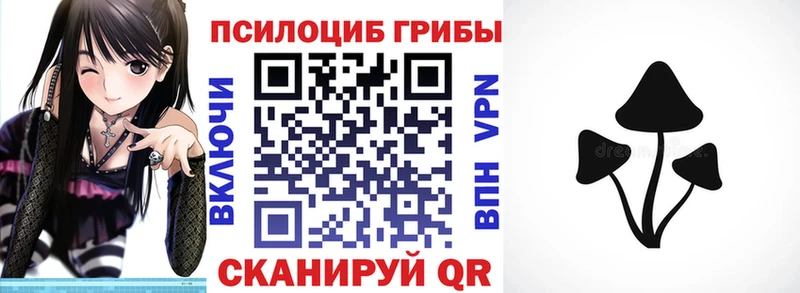 Псилоцибиновые грибы Psilocybe  Иваново 