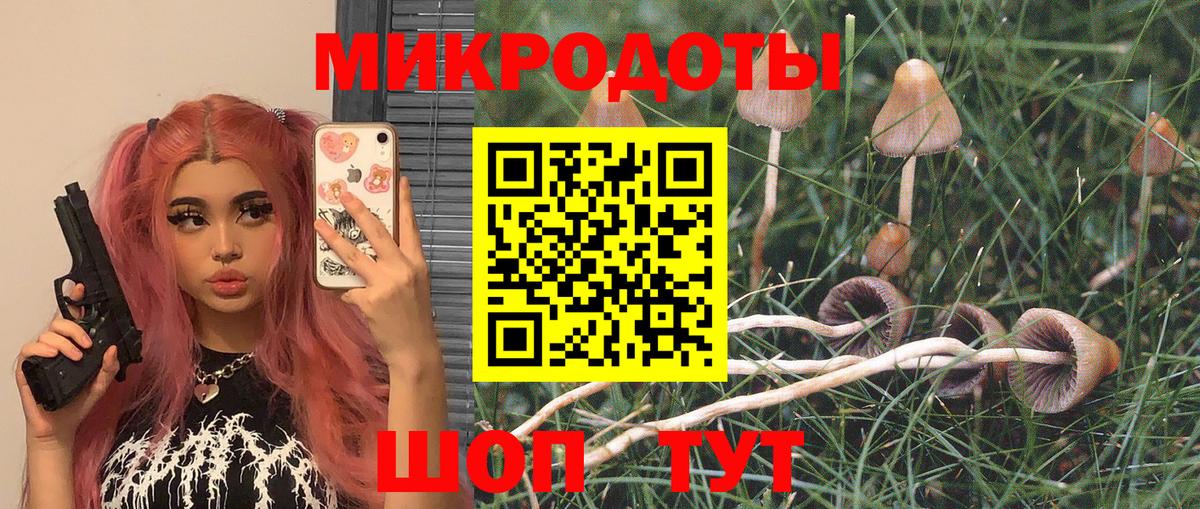 цена   Вход с VPN  Иваново  Галлюциногенные грибы мухоморы 