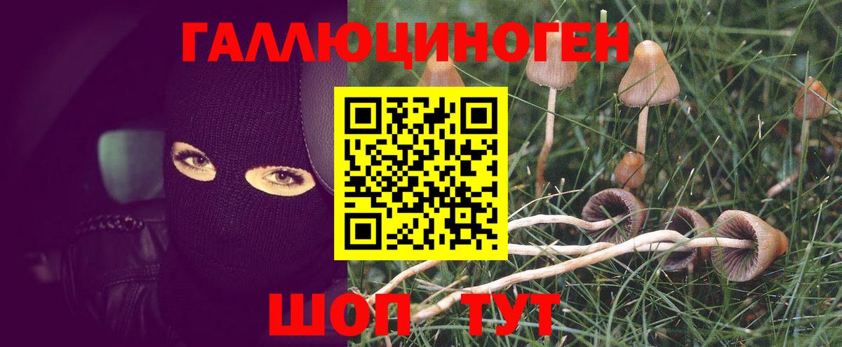 Псилоцибиновые грибы Magic Shrooms  Псилоцибиновые грибы Psilocybe  Иваново 