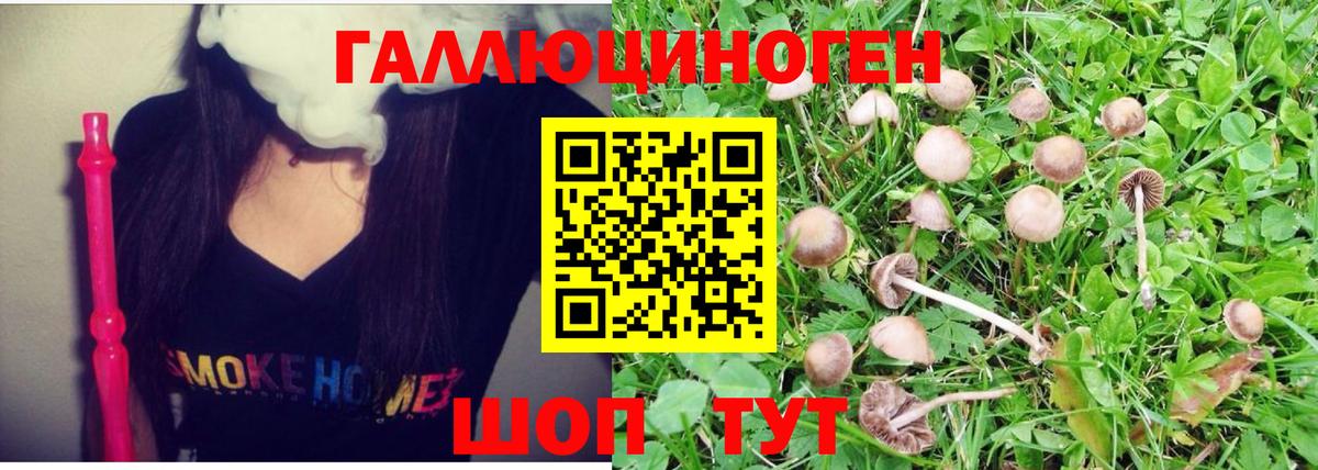 Галлюциногенные грибы мухоморы Иваново