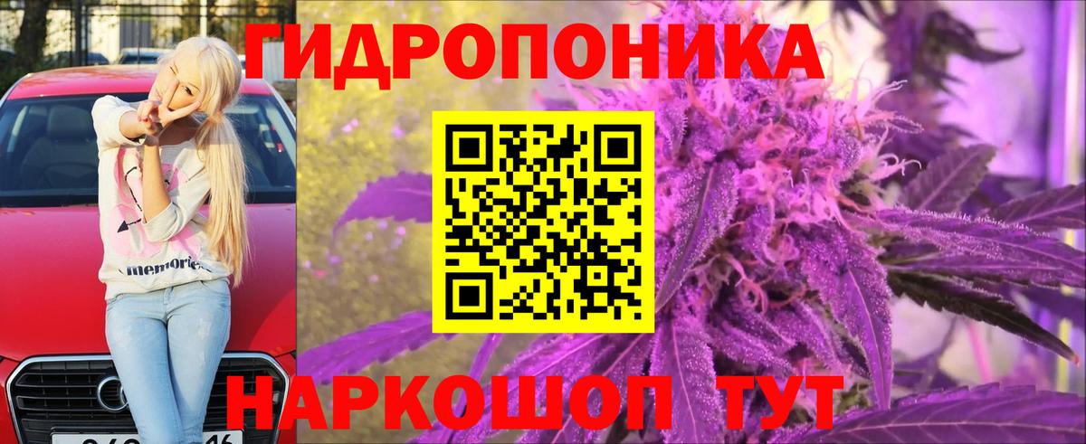 МАРИХУАНА конопля Иваново